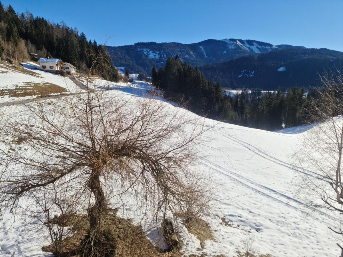 Schoene Ferienwohnung Im Naturpark Grebenzen Sankt Lambrecht Exteriör bild