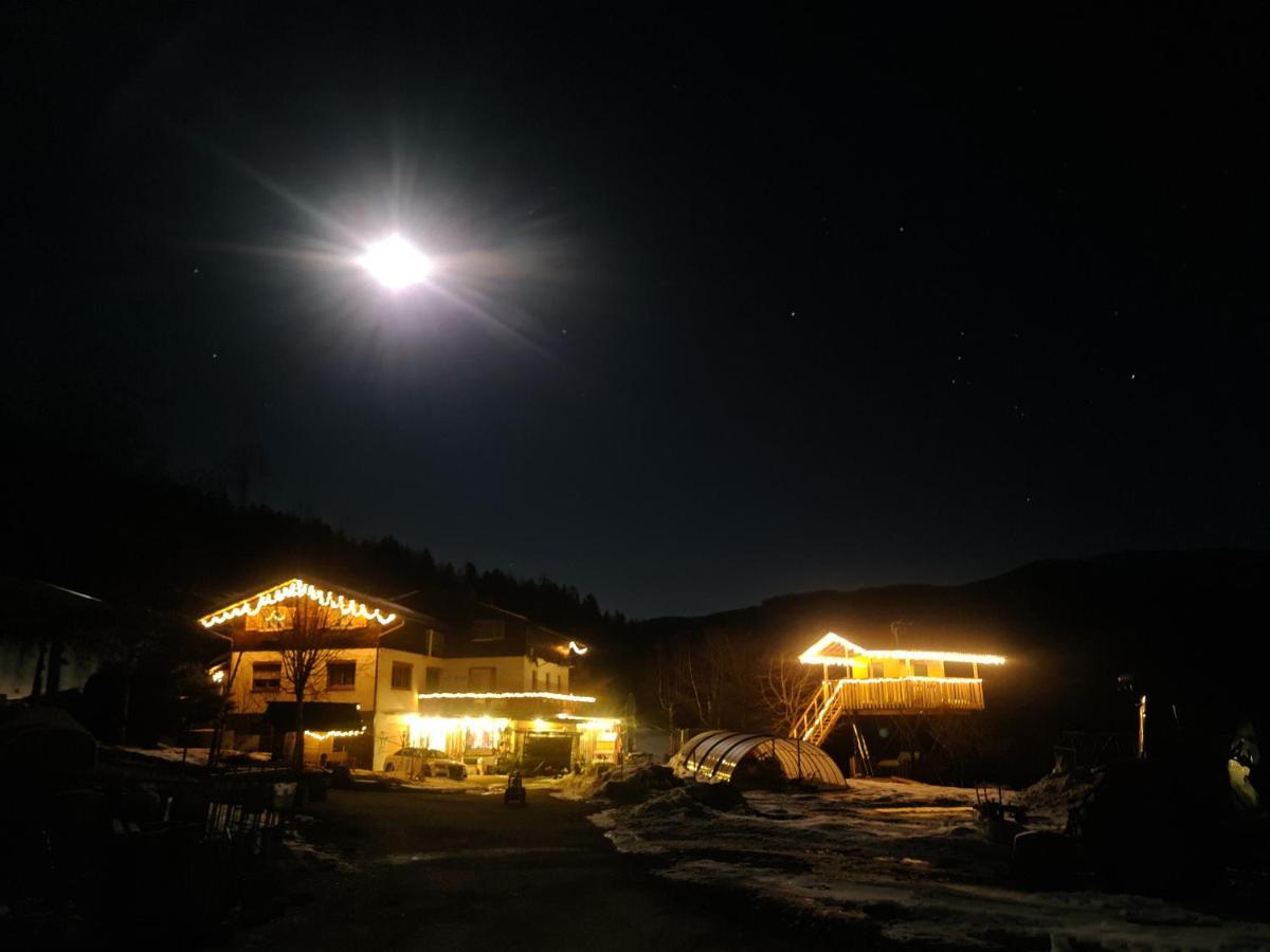 Schoene Ferienwohnung Im Naturpark Grebenzen Sankt Lambrecht Exteriör bild