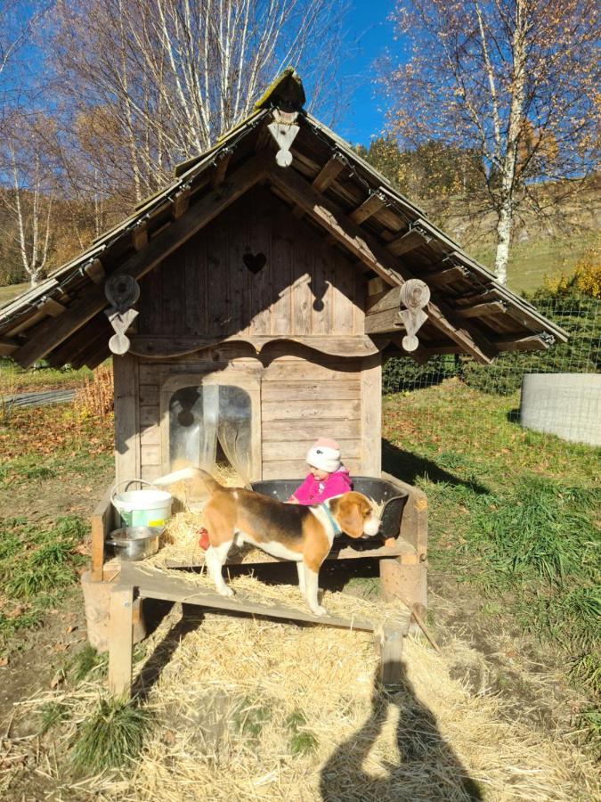 Schoene Ferienwohnung Im Naturpark Grebenzen Sankt Lambrecht Exteriör bild