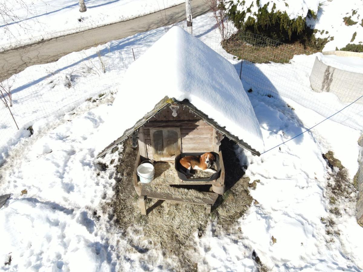 Schoene Ferienwohnung Im Naturpark Grebenzen Sankt Lambrecht Exteriör bild